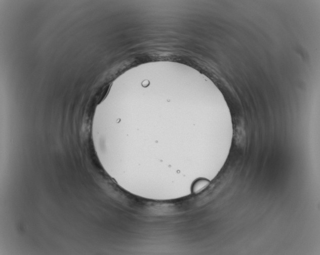 X0000114200476200911061428