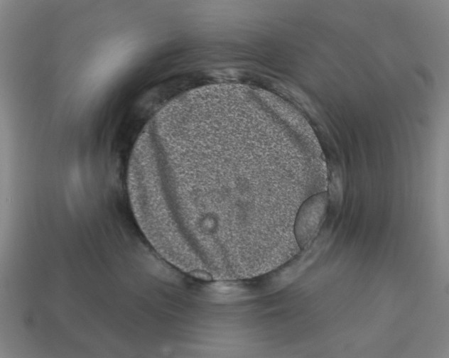 X0000114200477200911061428