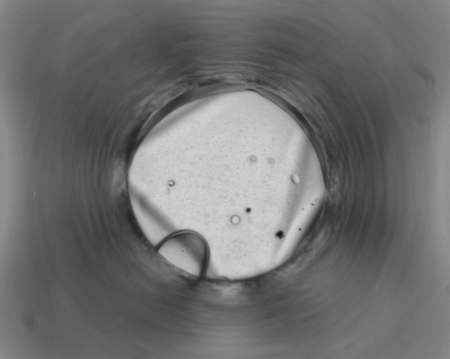 X0000114200478200911061428