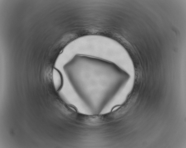 X0000114200479200911061428