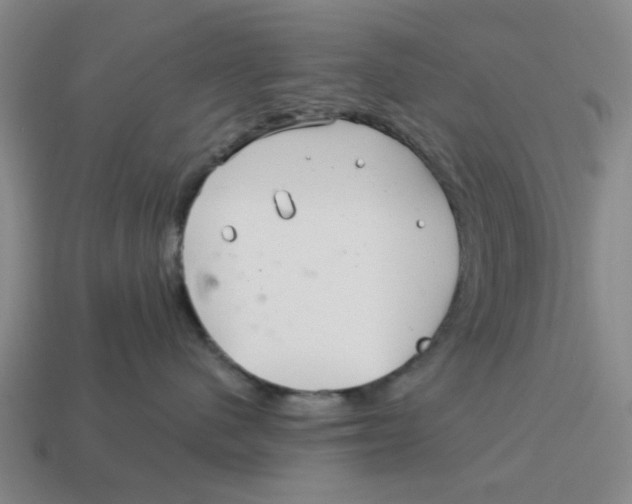 X0000114200480200911061428