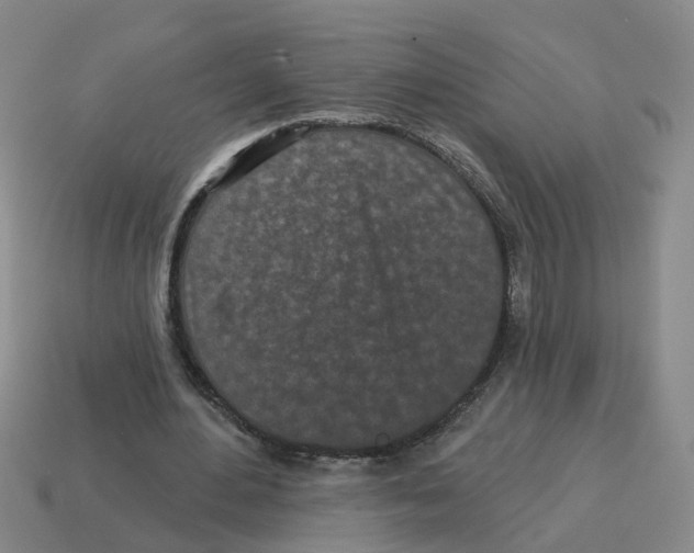 X0000114200484200911061427