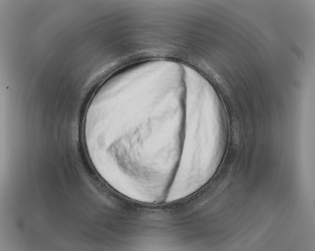 X0000114200486200911061427