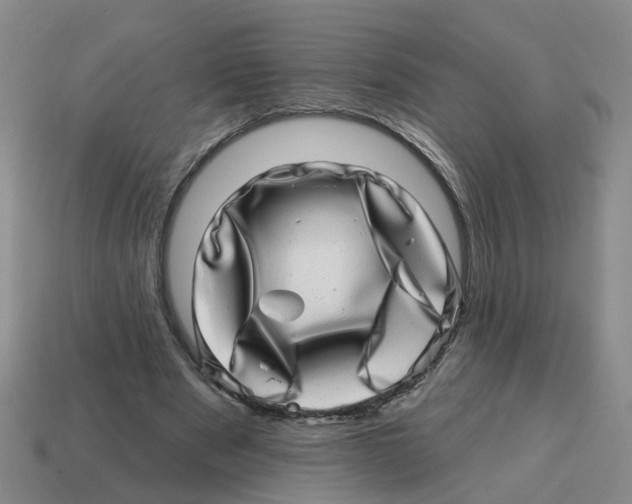 X0000114200489200911061427