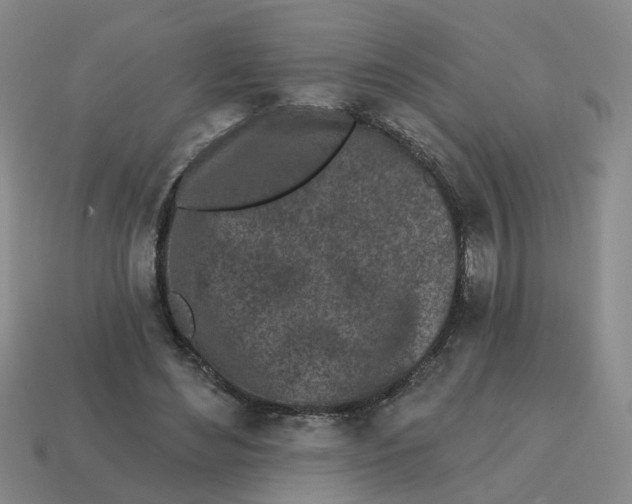 X0000114200492200911061427