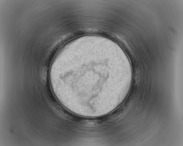 X0000114200495200911061427