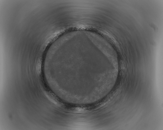 X0000114200496200911061427