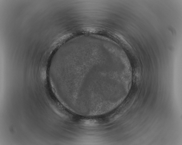 X0000114200500200911061427