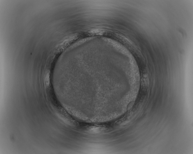 X0000114200504200911061427