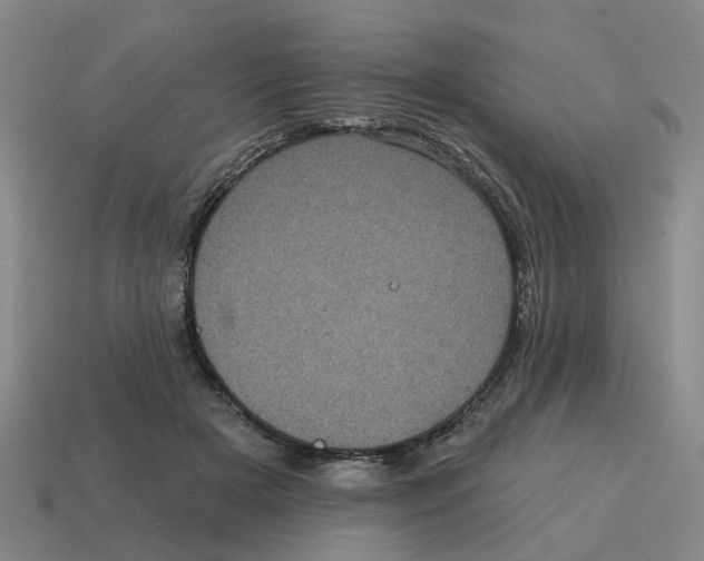 X0000114200505200911061427