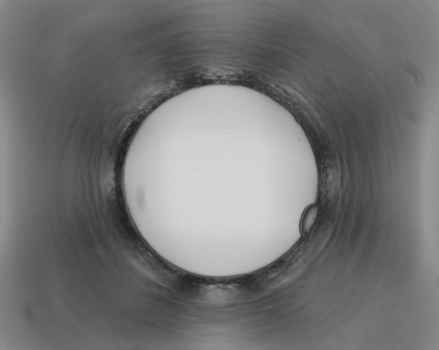 X0000114200508200911061427