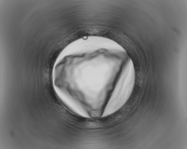 X0000114200510200911061427