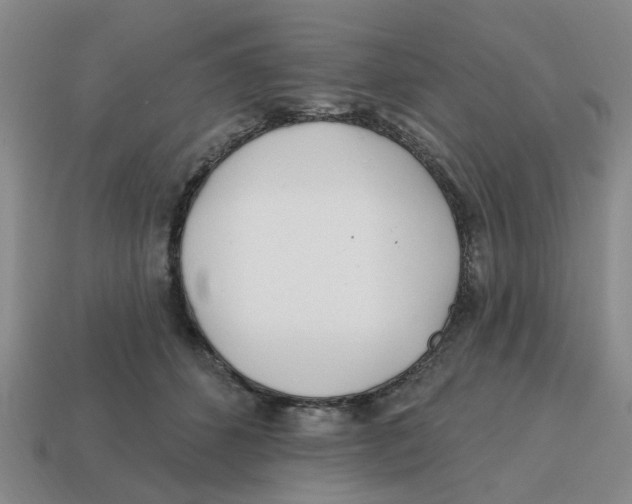 X0000114200512200911061427