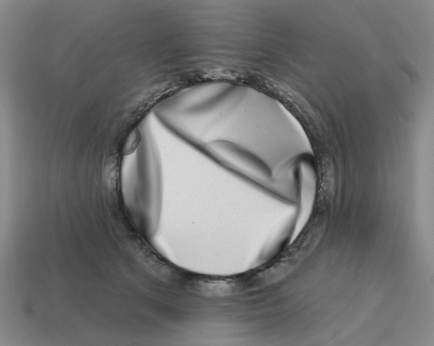 X0000114200513200911061427