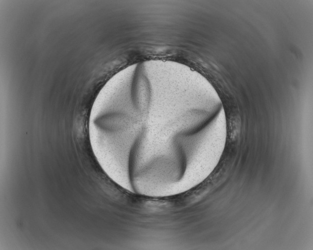 X0000114200515200911061427