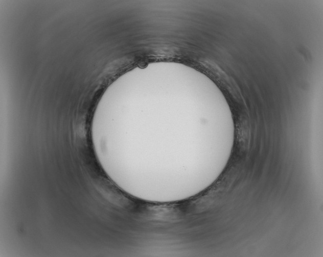 X0000114200516200911061427