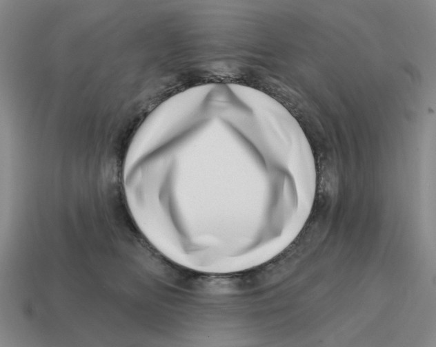 X0000114200518200911061427