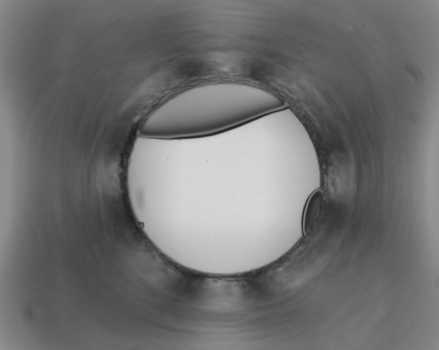 X0000114200520200911061427