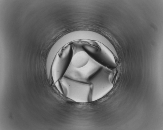 X0000114200521200911061427