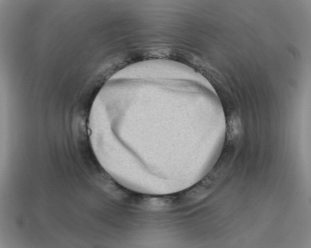 X0000114200522200911061427