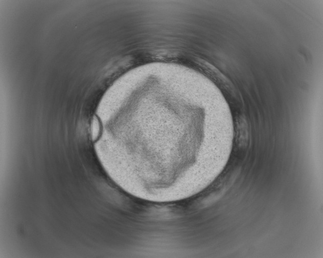 X0000114200523200911061427