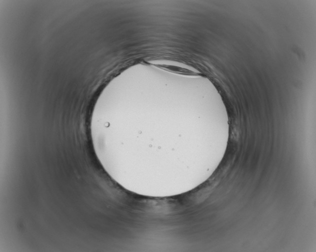 X0000114200524200911061427