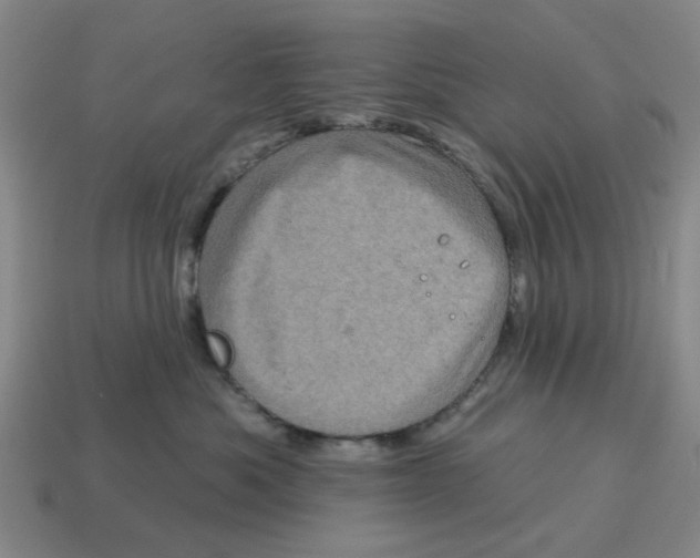 X0000114200525200911061427