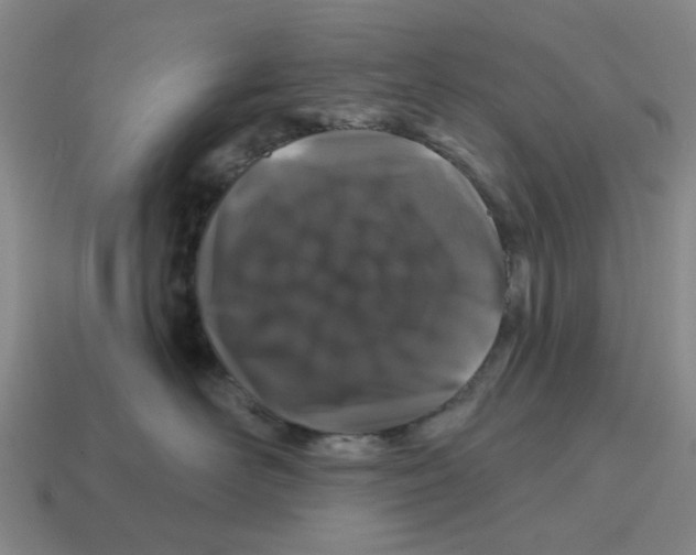 X0000114200526200911061427