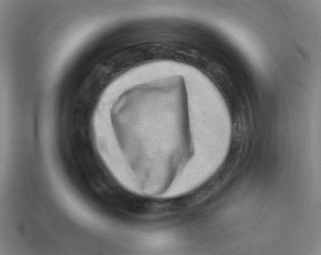 X0000114200527200911061427