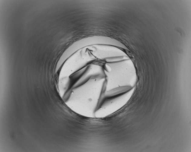 X0000114200528200911061427