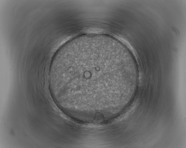 X0000114200529200911061426