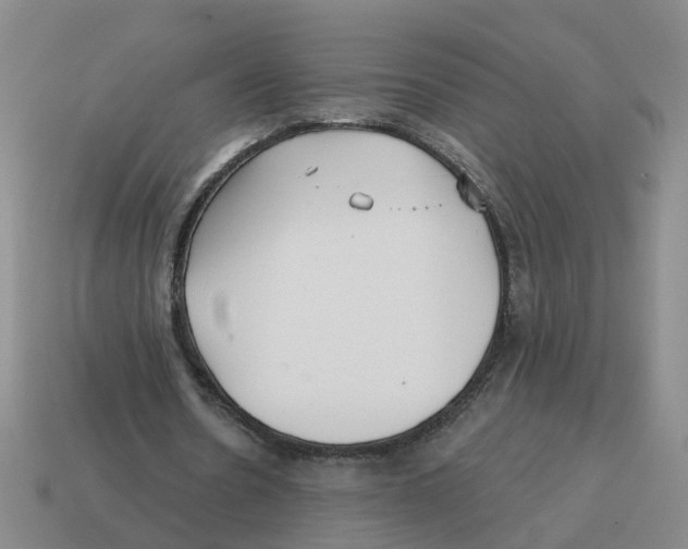 X0000114200530200911061426