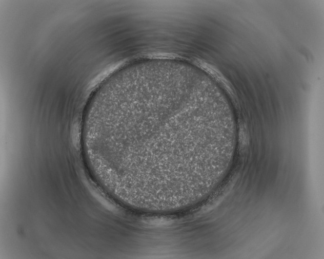 X0000114200533200911061426