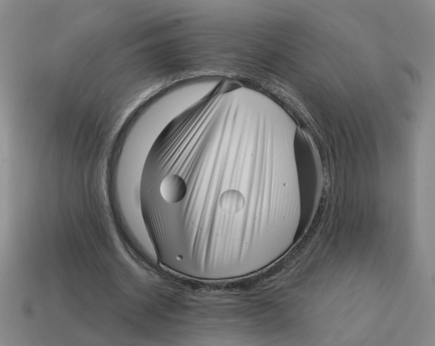 X0000114200534200911061426