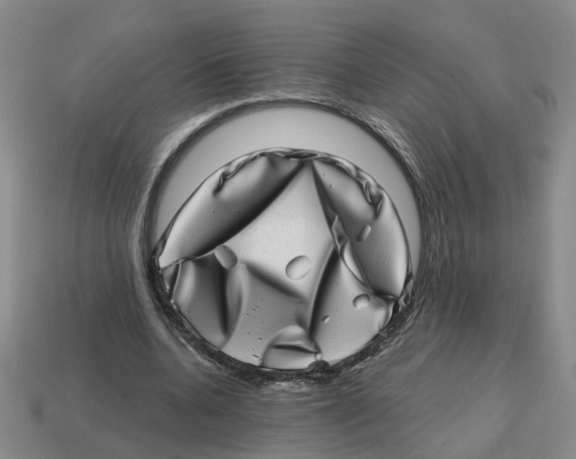 X0000114200536200911061426