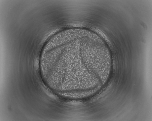 X0000114200537200911061426