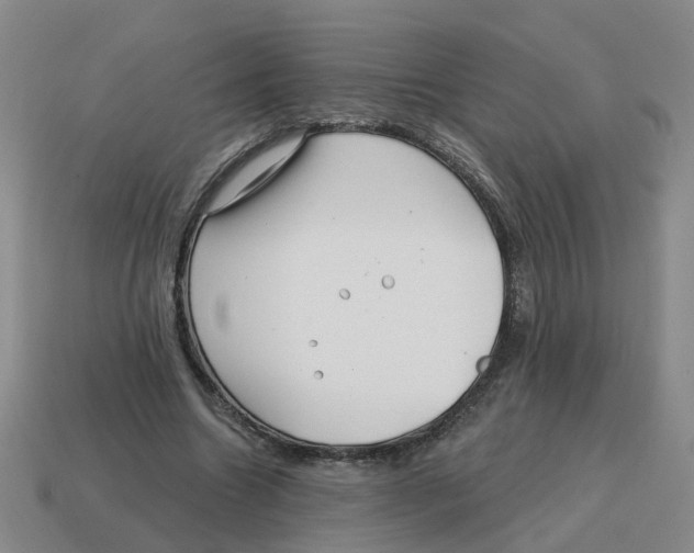 X0000114200538200911061426