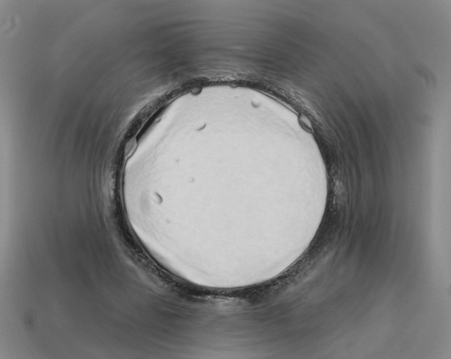 X0000114200539200911061426