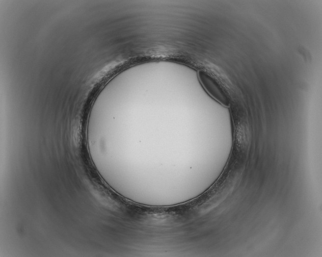 X0000114200540200911061426