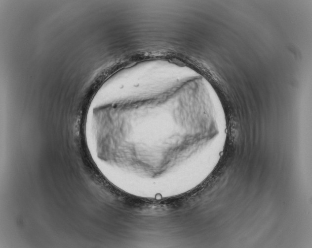 X0000114200543200911061426