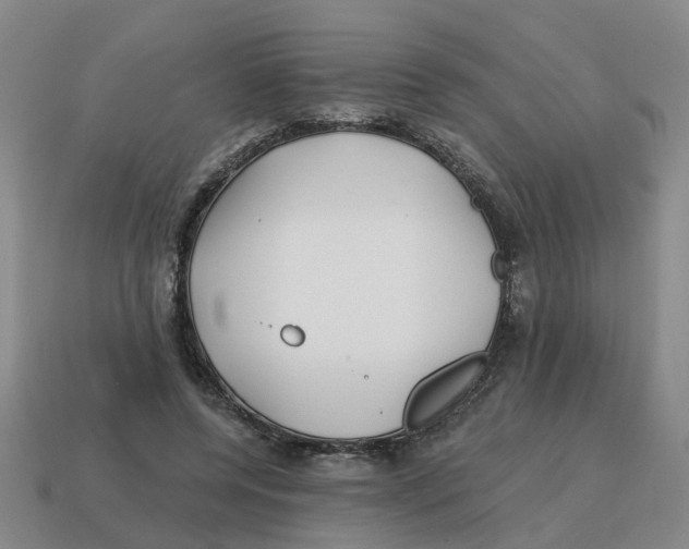 X0000114200544200911061426