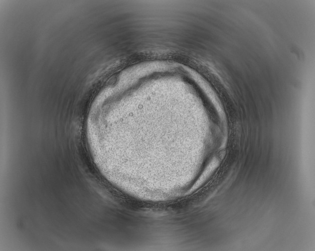 X0000114200545200911061426