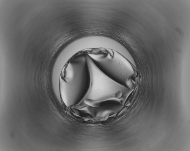 X0000114200548200911061426