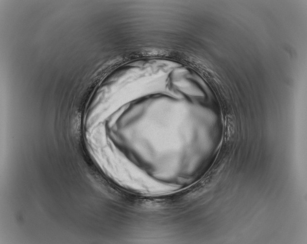 X0000114200550200911061426