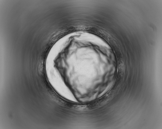 X0000114200554200911061427