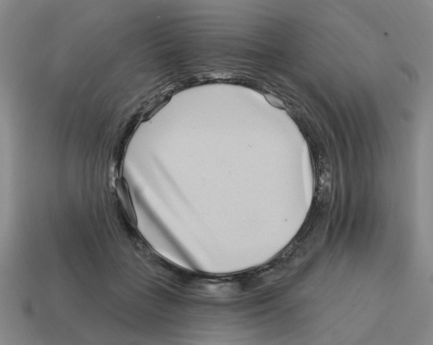 X0000114200555200911061427