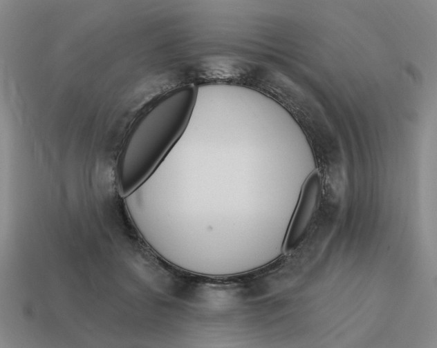 X0000114200556200911061427