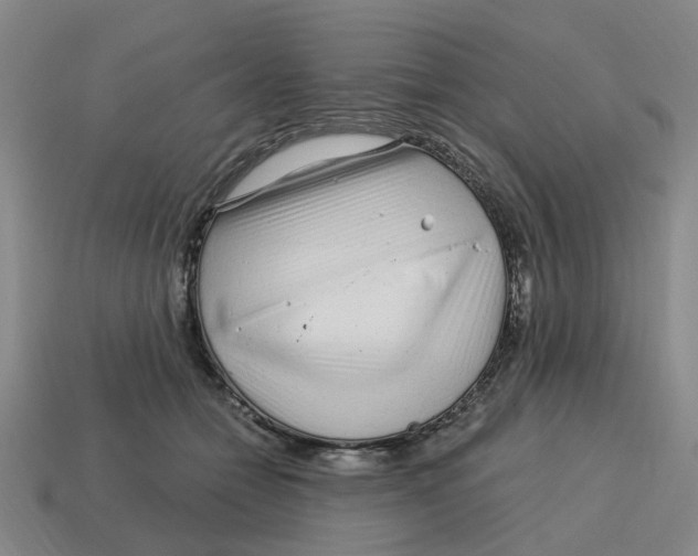 X0000114200558200911061427