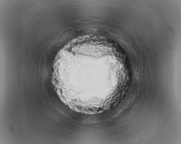 X0000114200561200911061427