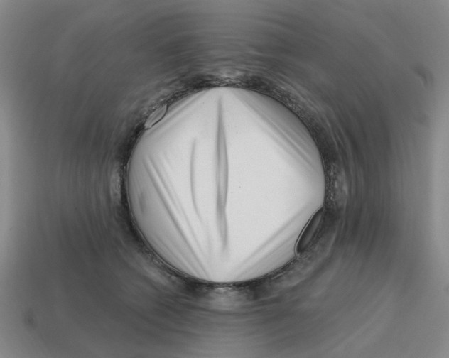 X0000114200562200911061427